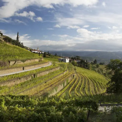 Отель Quinta de Santa Júlia Португалия, Пезу-да-Регуа - отзывы, цены и фото номеров - забронировать отель Quinta de Santa Júlia онлайн приотельная территория фото 2