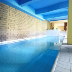 Отель Skyline House Ferienapartments Швейцария, Санкт-Мориц - отзывы, цены и фото номеров - забронировать отель Skyline House Ferienapartments онлайн бассейн