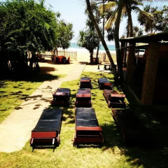 Green Shadows Beach Hotel фото 6