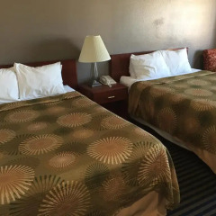 Отель Buena Vista Motor Inn 2* Стандартный номер с различными типами кроватей фото 4
