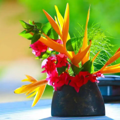 Отель Shangri-Lanka Village Бунгало Делюкс с различными типами кроватей фото 50