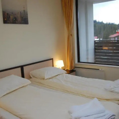 Апартаменты Elit Pamporovo Apartments Апартаменты с 2 отдельными кроватями фото 18