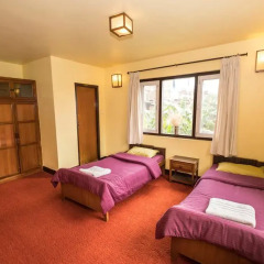 Отель Swayambhu View Guest House Непал, Катманду - отзывы, цены и фото номеров - забронировать отель Swayambhu View Guest House онлайн комната для гостей