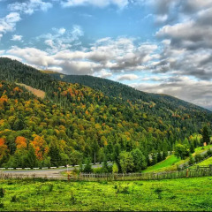 База отдыха Камянка фото 16