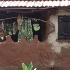 Отель Thisara Guesthouse с домашними животными