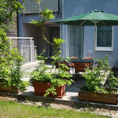 Отель Vacha Vogtgasse Австрия, Вена - отзывы, цены и фото номеров - забронировать отель Vacha Vogtgasse онлайн фото 3