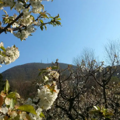 Отель Agriturismo Al Colle Del Ciliegio Италия, Региональный парк Colli Euganei - отзывы, цены и фото номеров - забронировать отель Agriturismo Al Colle Del Ciliegio онлайн фото 7