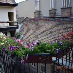 Отель Eitans Guesthouse Будапешт фото 2