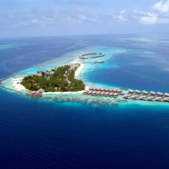 Отель Coco Bodu Hithi 5* Вилла разные типы кроватей фото 2