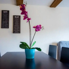 Апартаменты HITrental Niederdorf - Apartments Цюрих помещение для мероприятий