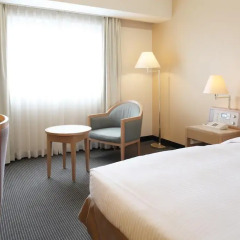 Toyama Excel Hotel Tokyu 3* Стандартный номер фото 18