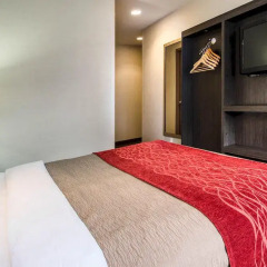 Отель Comfort Inn Midtown West 2* Стандартный номер с различными типами кроватей фото 6