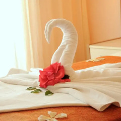 Aral Hotel Side в номере