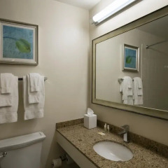 Отель Holiday Inn Lido Beach, Sarasota 3* Другое фото 3