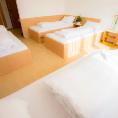 Summer Hostel Salzburg Кровать в женском общем номере