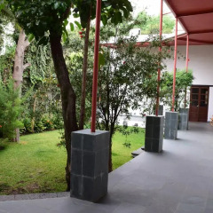 Отель La Casa de las Magnolias Мексика, Мехико - отзывы, цены и фото номеров - забронировать отель La Casa de las Magnolias онлайн фото 3