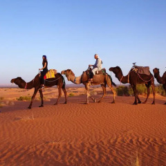 Отель Merzouga Luxury Camp Марокко, Мерзуга - отзывы, цены и фото номеров - забронировать отель Merzouga Luxury Camp онлайн фитнесс-зал фото 2