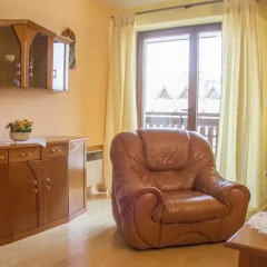 Апартаменты Paris Apartment Visitzakopane Закопане комната для гостей фото 3