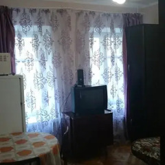 Гостиница Homestay Gagarinskaya 15 комната для гостей