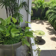 Отель Halcyon House Colombo фото 5