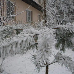 Отель Guest Complex Sosny Светлогорск балкон