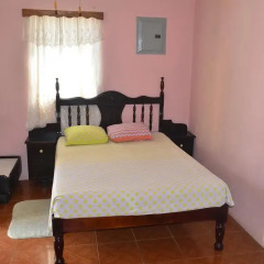 Отель Little Shaw Park Guest House 2* Стандартный номер с различными типами кроватей фото 4