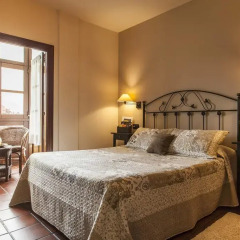 Hotel La Boriza 3* Стандартный номер с различными типами кроватей фото 21