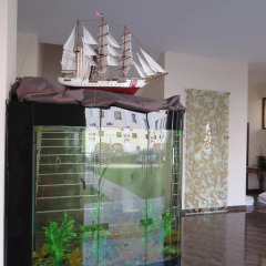 Отель Family Hotel Allegra Болгария, Аврен - отзывы, цены и фото номеров - забронировать отель Family Hotel Allegra онлайн фото 2