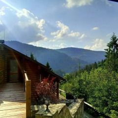 Гостиница Villa Alpiyka фото 8