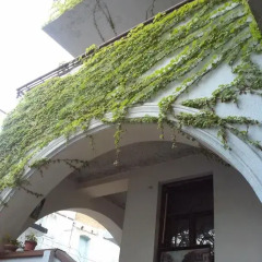 Отель Guest House Marina балкон