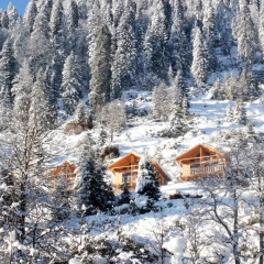 Ayder Cise Dag Evleri Шале с различными типами кроватей фото 25