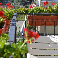 Отель Todorovi Guest House Апартаменты с различными типами кроватей фото 2