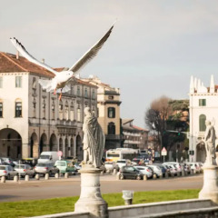 Отель MyPlace Prato Della Valle Apartments Италия, Падуя - отзывы, цены и фото номеров - забронировать отель MyPlace Prato Della Valle Apartments онлайн фото 5