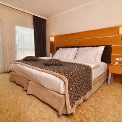 Ankara Plaza Hotel Турция, Анкара - отзывы, цены и фото номеров - забронировать отель Ankara Plaza Hotel онлайн комната для гостей фото 3