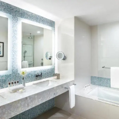 Отель Swissôtel Al Ghurair Dubai (ex.Al Ghurair Arjaan by Rotana) ОАЭ, Дубай - отзывы, цены и фото номеров - забронировать отель Swissôtel Al Ghurair Dubai (ex.Al Ghurair Arjaan by Rotana) онлайн ванная