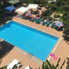 Green Peace Hotel 2* Люкс с различными типами кроватей фото 7
