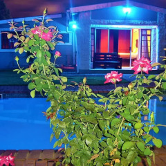 Отель Berry Bliss Guest House 4* Стандартный номер фото 21