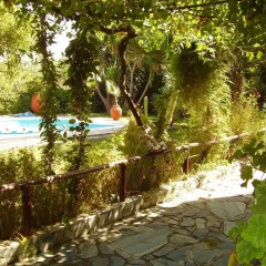 Summer Lodge in Agia Marina, Greece from 66$, photos, reviews - zenhotels.com childrens activities