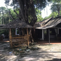Отель Pine Bungalow фото 2