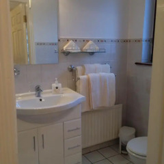 Отель Bunratty Villa B&B ванная
