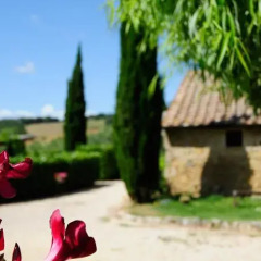 Отель Tenuta Decimo - Villa Dini Италия, Сан-Джиминьяно - отзывы, цены и фото номеров - забронировать отель Tenuta Decimo - Villa Dini онлайн фото 9