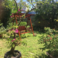 Отель Bamboo Homestay