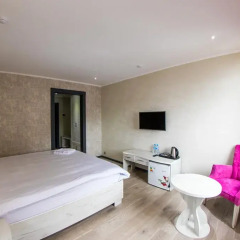 Aster Hotel Group 3* Стандартный номер с различными типами кроватей фото 2