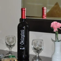 Falcon Hotel в номере фото 2