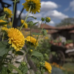 Отель Guesthouse Imalo Edno Vreme Сливен фото 2