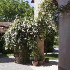 Отель Villino di Porporano Парма