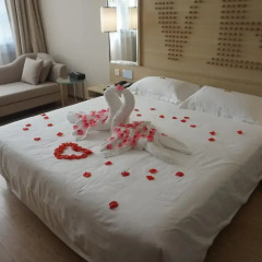 Orange Hotel Select Luohu Shenzhen 4* Стандартный номер фото 9