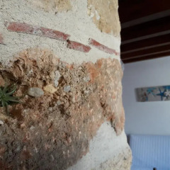 Отель Rustico San Leonardo Италия, Чинизи - отзывы, цены и фото номеров - забронировать отель Rustico San Leonardo онлайн питание