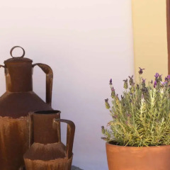 Отель B&B Candelária интерьер отеля фото 2