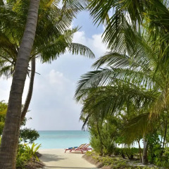 Отель Kandima Maldives 5* Вилла с различными типами кроватей фото 9